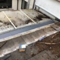 mould on roof